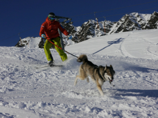 Dave with a ski hound