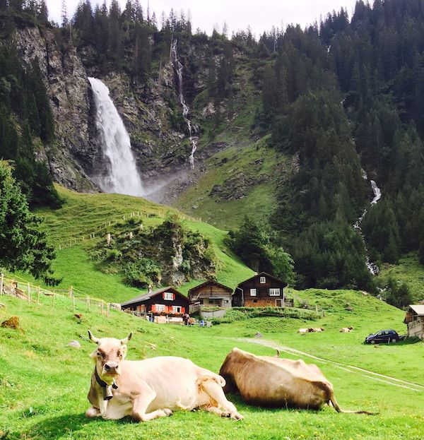 Stage 4 Waterfall above Aesch