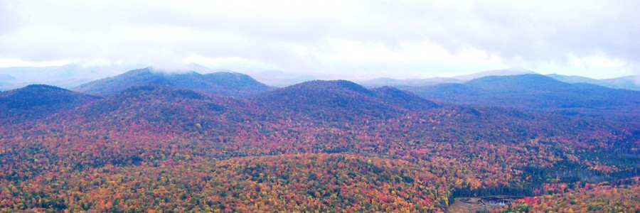 Adirondack_Park_-_panoramio.jpg