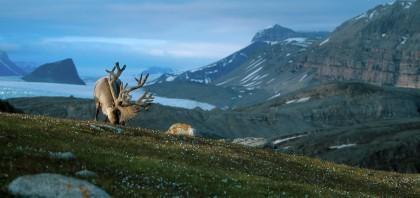 Spitzbergen.jpg